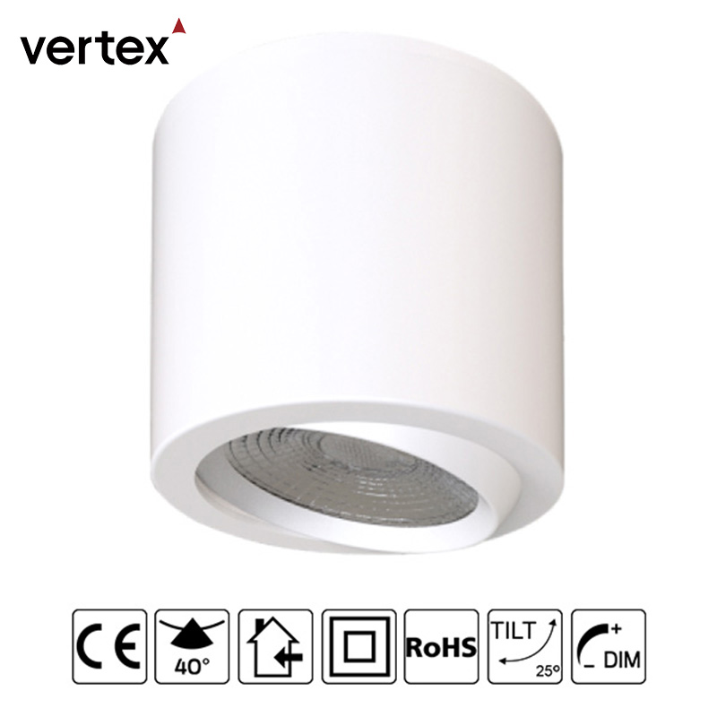 Surface Mount Led Downlight