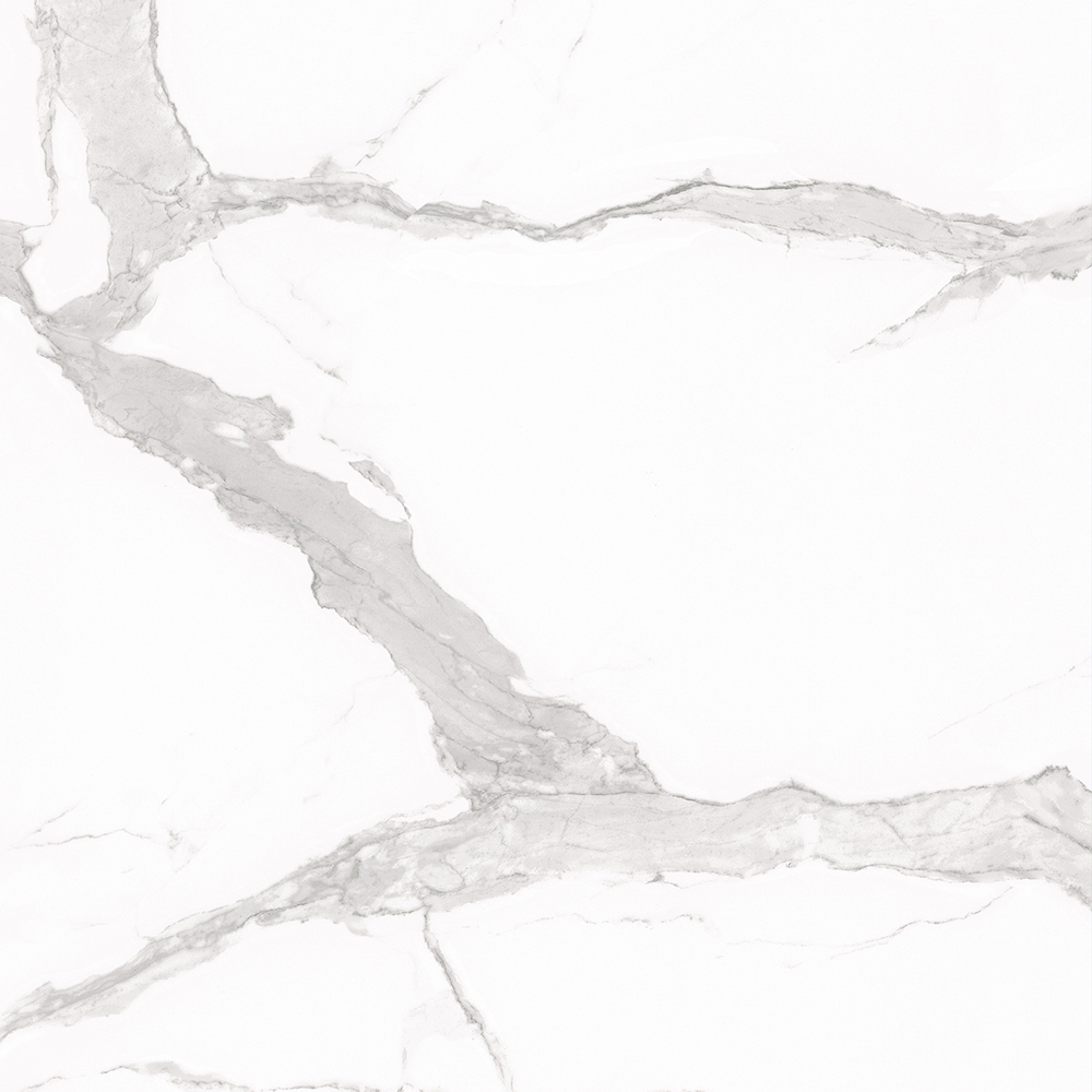 professional big salb | Extra-large format Porcelain Panel 120-240CBP05528（BCD)-M