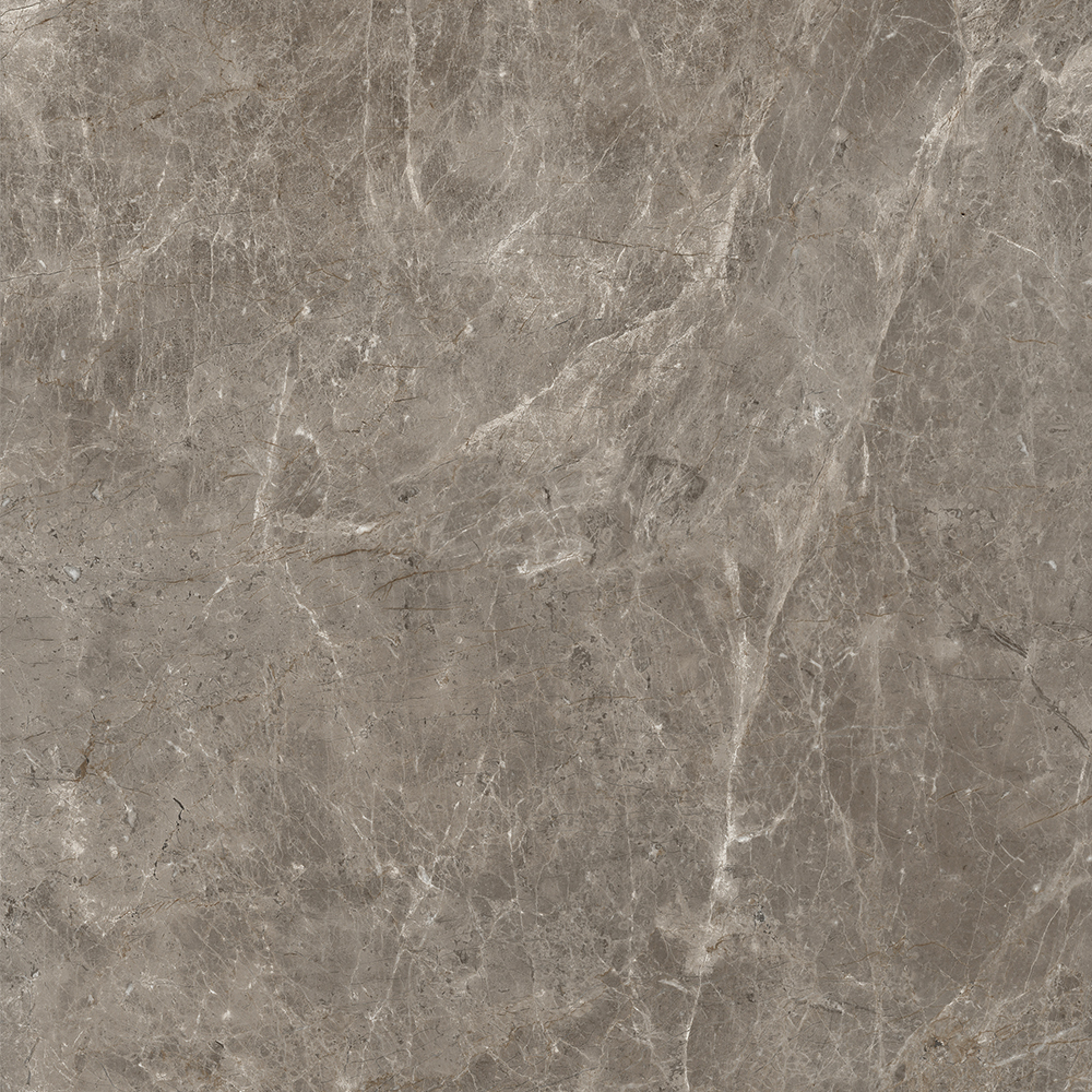 modern counter top | Extra-large format Porcelain Panel 120-240CBP5522CM