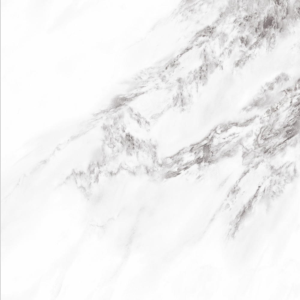 Wall Decoratiom Tiles | Porcelain Panel 120-240DBP09650(BCD)-M(F)