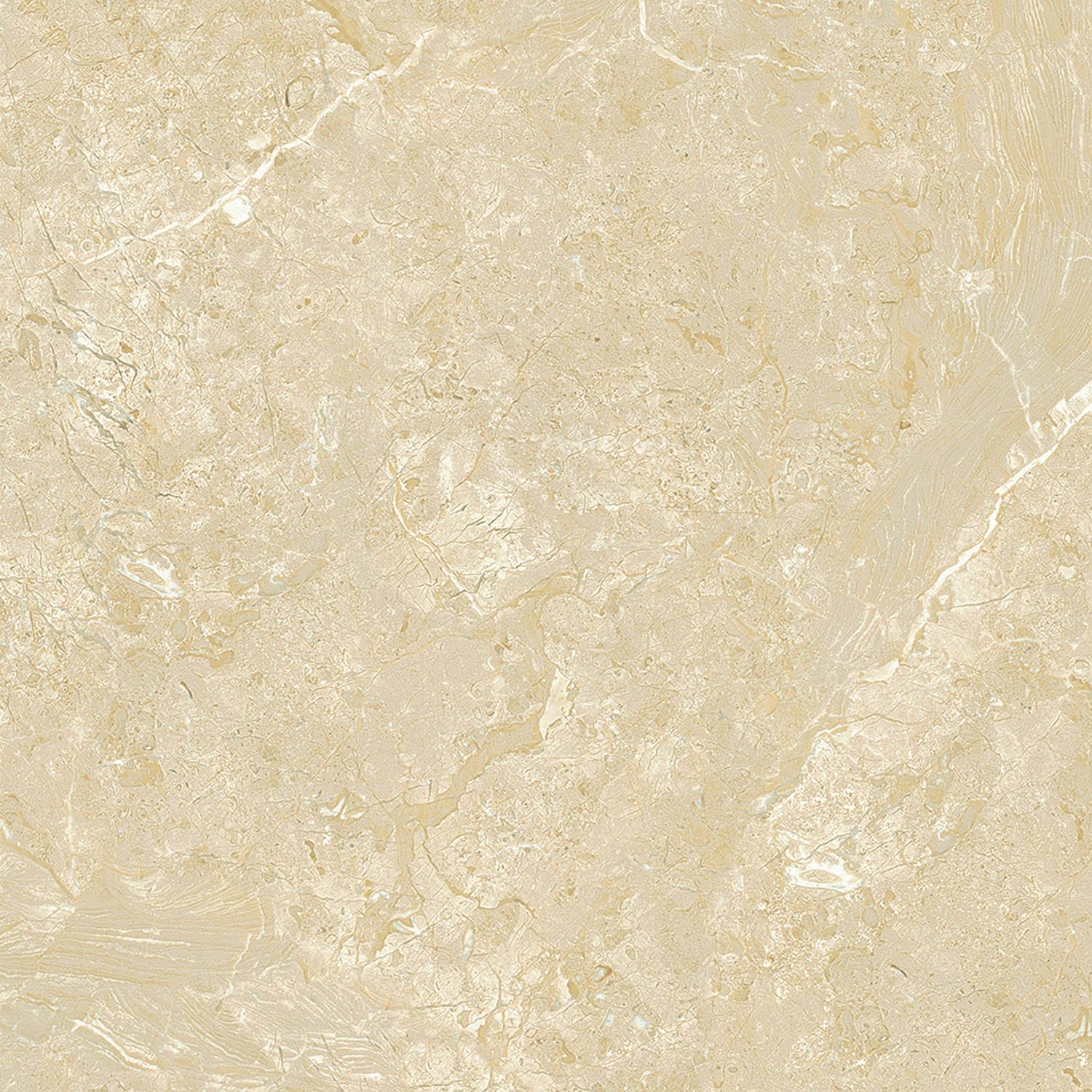 Unglazed Polished Porcelain Tiles  |  Roman Natural Stone 8FMB1071PCM