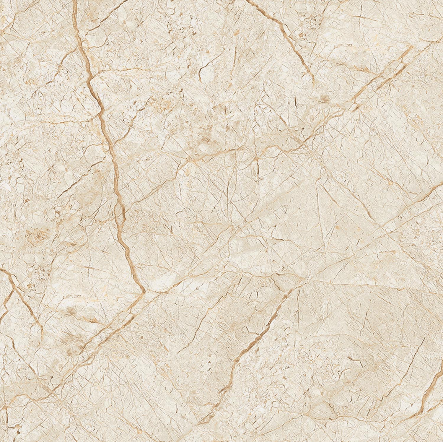 Unglazed Polished Porcelain Tiles  |  Roman Natural Stone 8FMB1123PCM