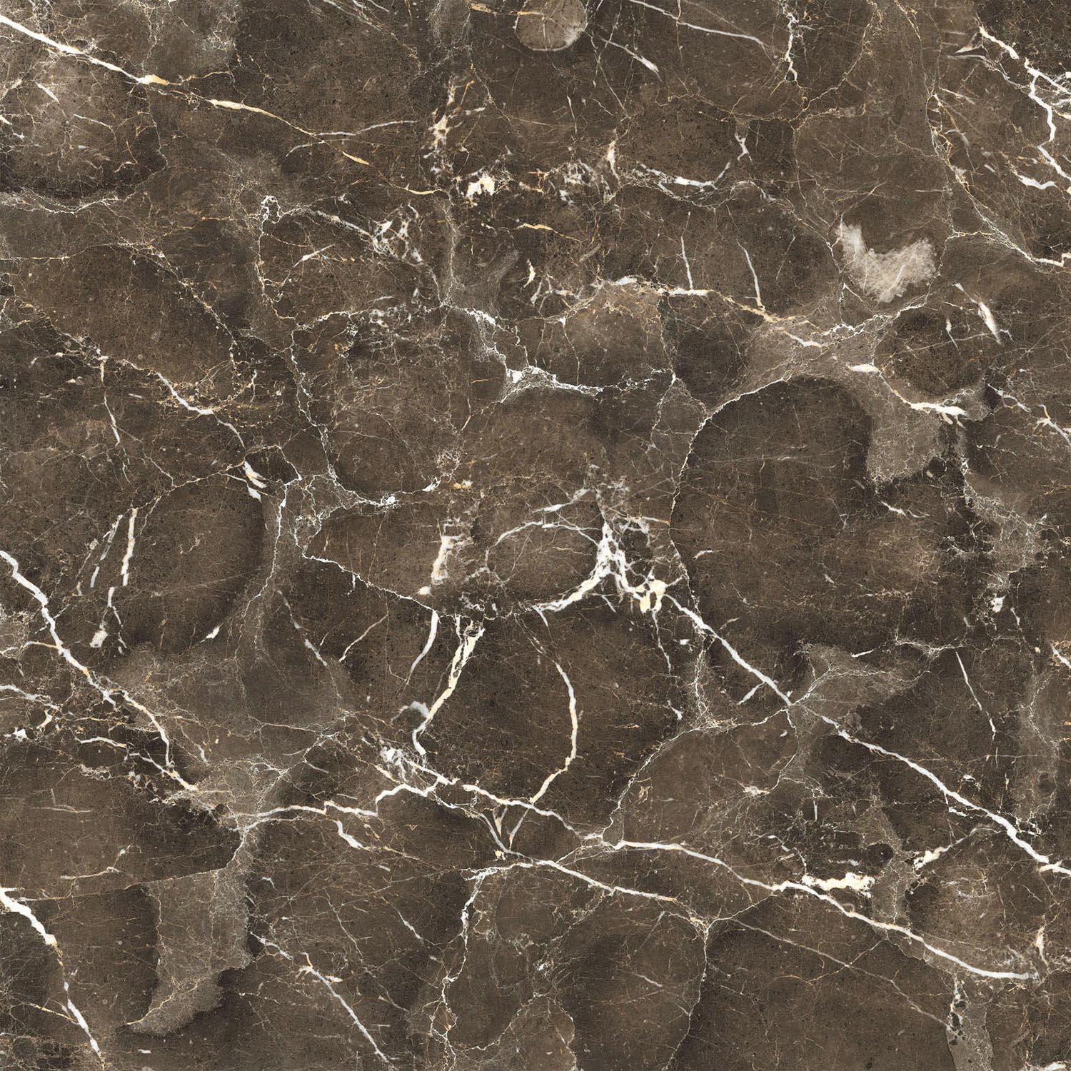 Unglazed Polished Porcelain Tiles  |  Roman Natural Stone 8FMB1200PCM