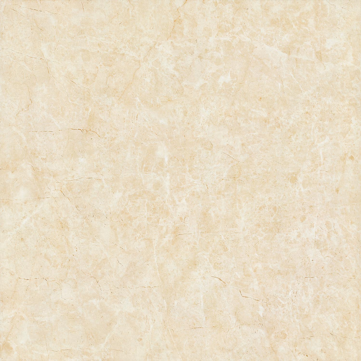 Unglazed Polished Porcelain Tiles  |  Roman Natural Stone FMB1001PCM