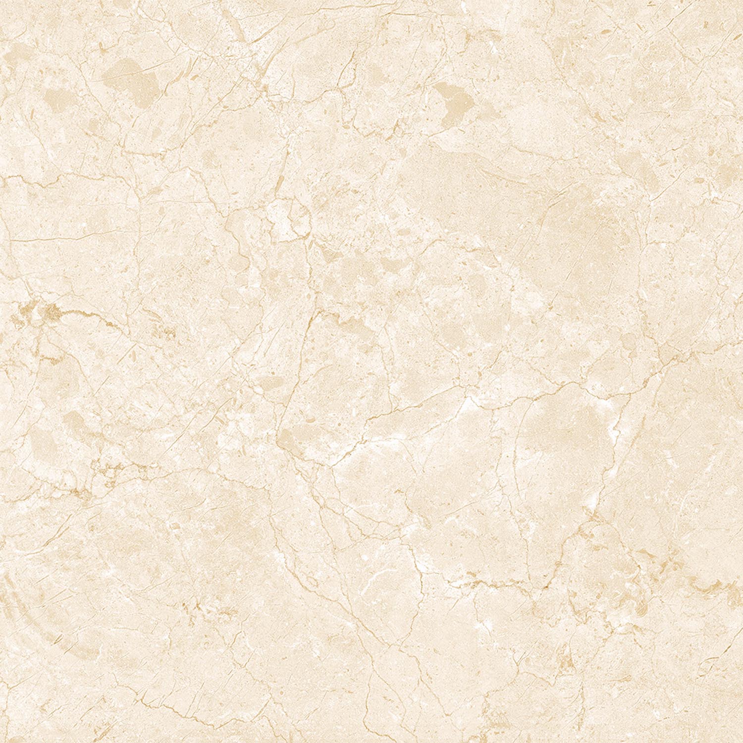 Unglazed Polished Porcelain Tiles  |  Roman Natural Stone FMB1016PCM