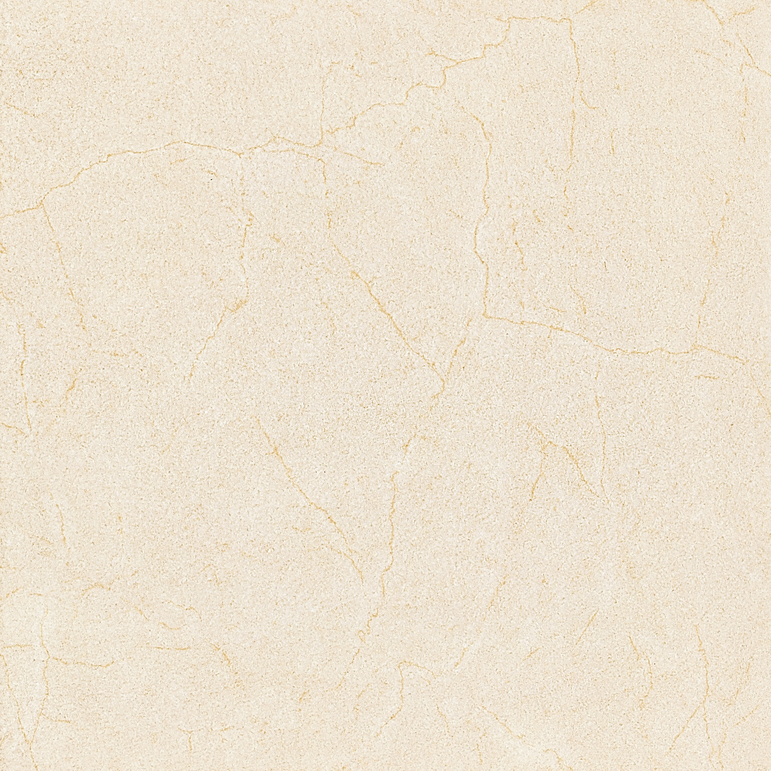 Ceramic Tile |  3F265M