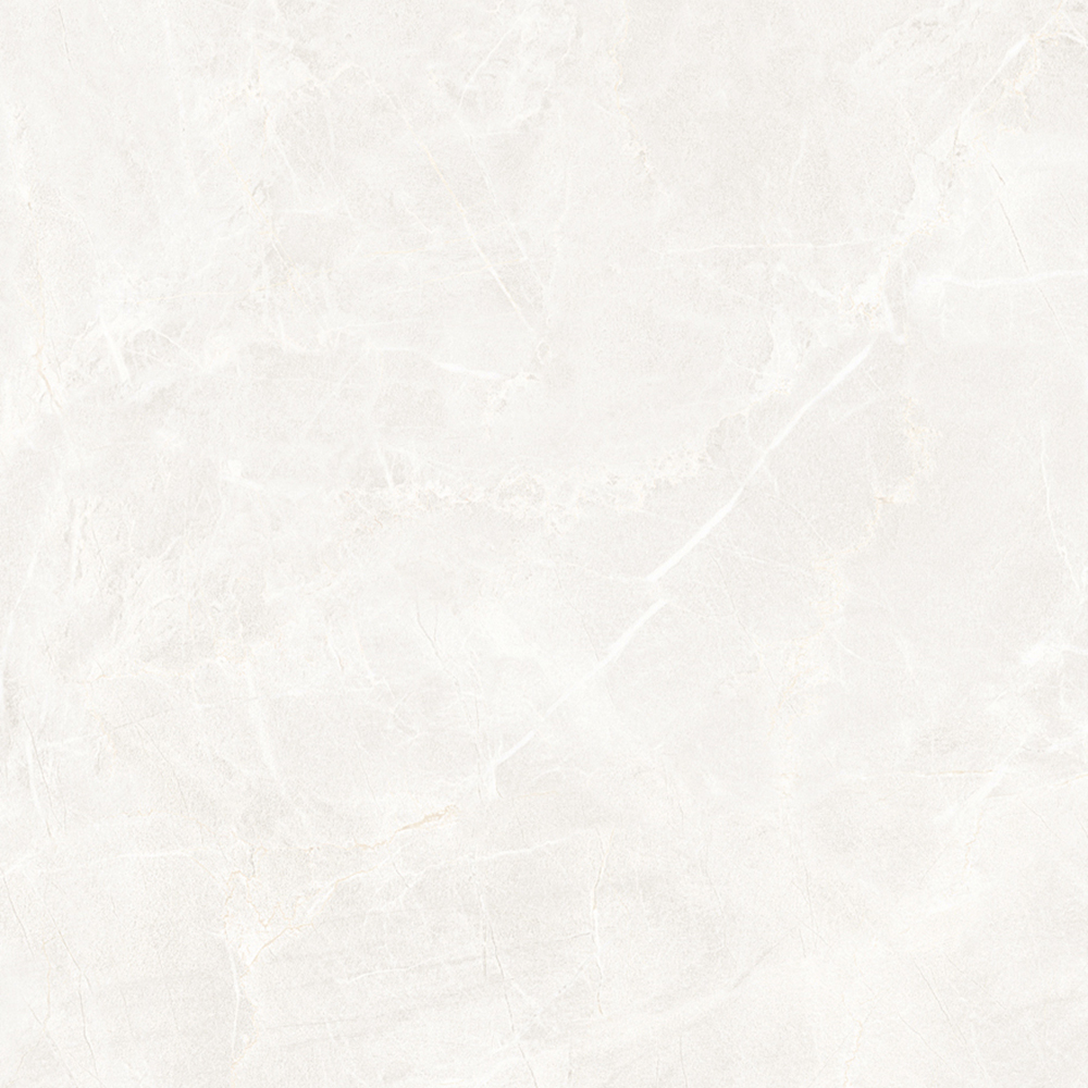 Ceramic Tile |  Ferrara 30-60DFL09005(BCD)-M