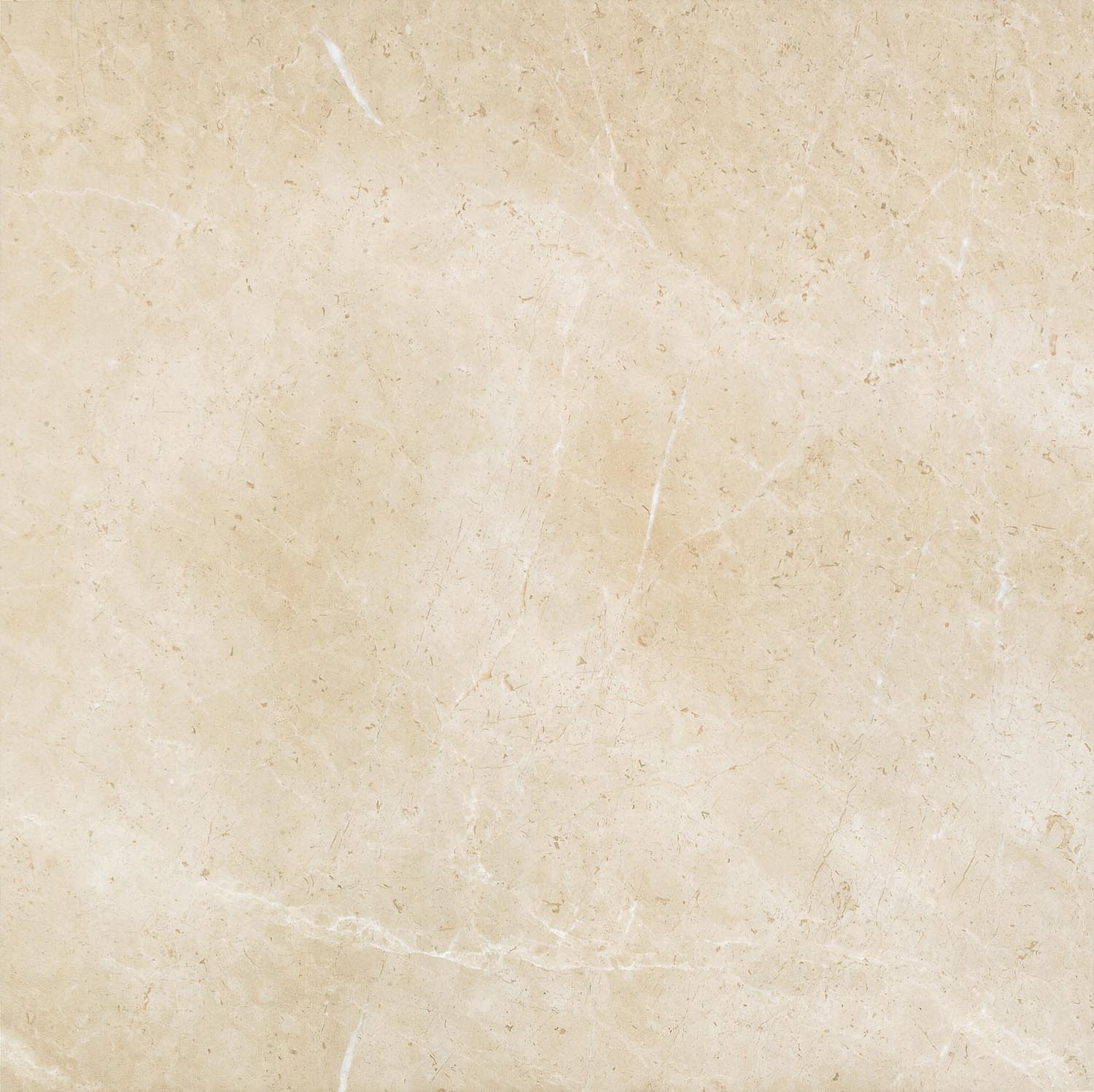 Rustic Tiles |  Flora 6FMN0600(B)M