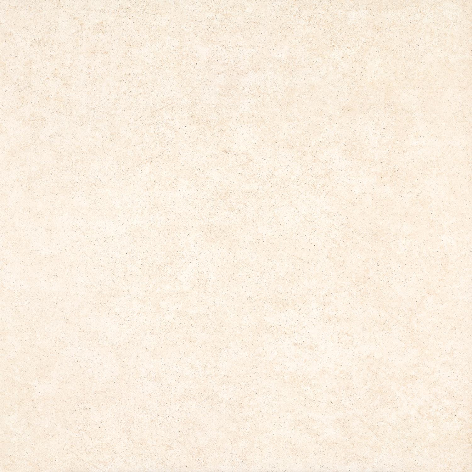 Rustic Tiles | Afternoon Impression 8FN2081M