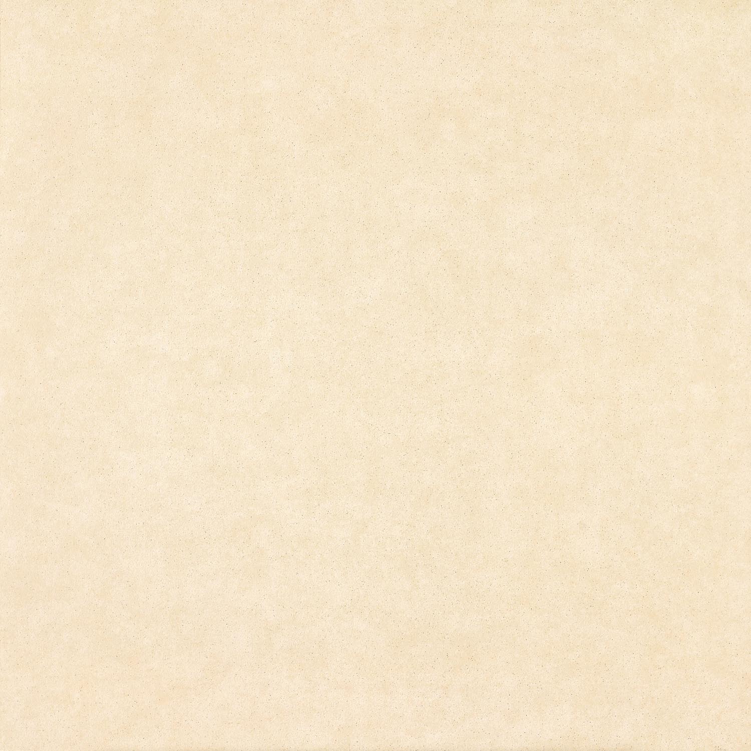 Rustic Tiles | Afternoon Impression 8FN2082M