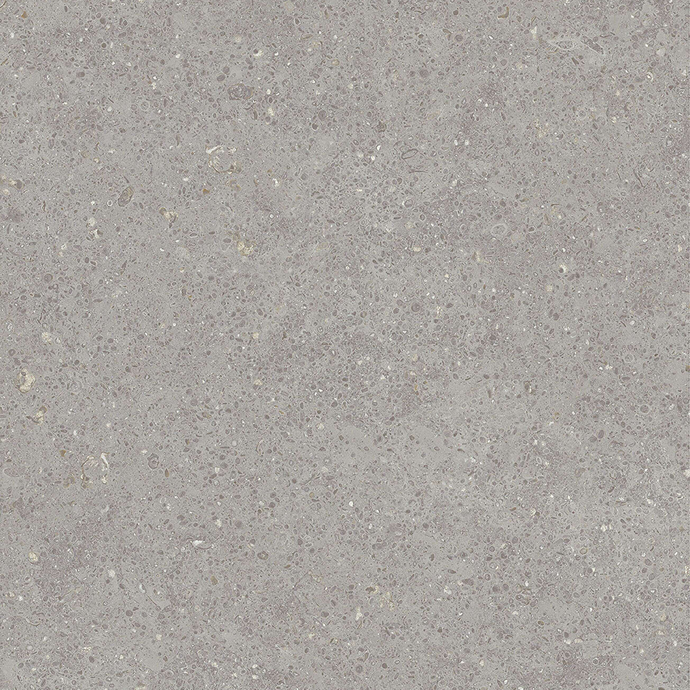 Porcelain Tiles | Ceramic Plate 80-240FDK09011M