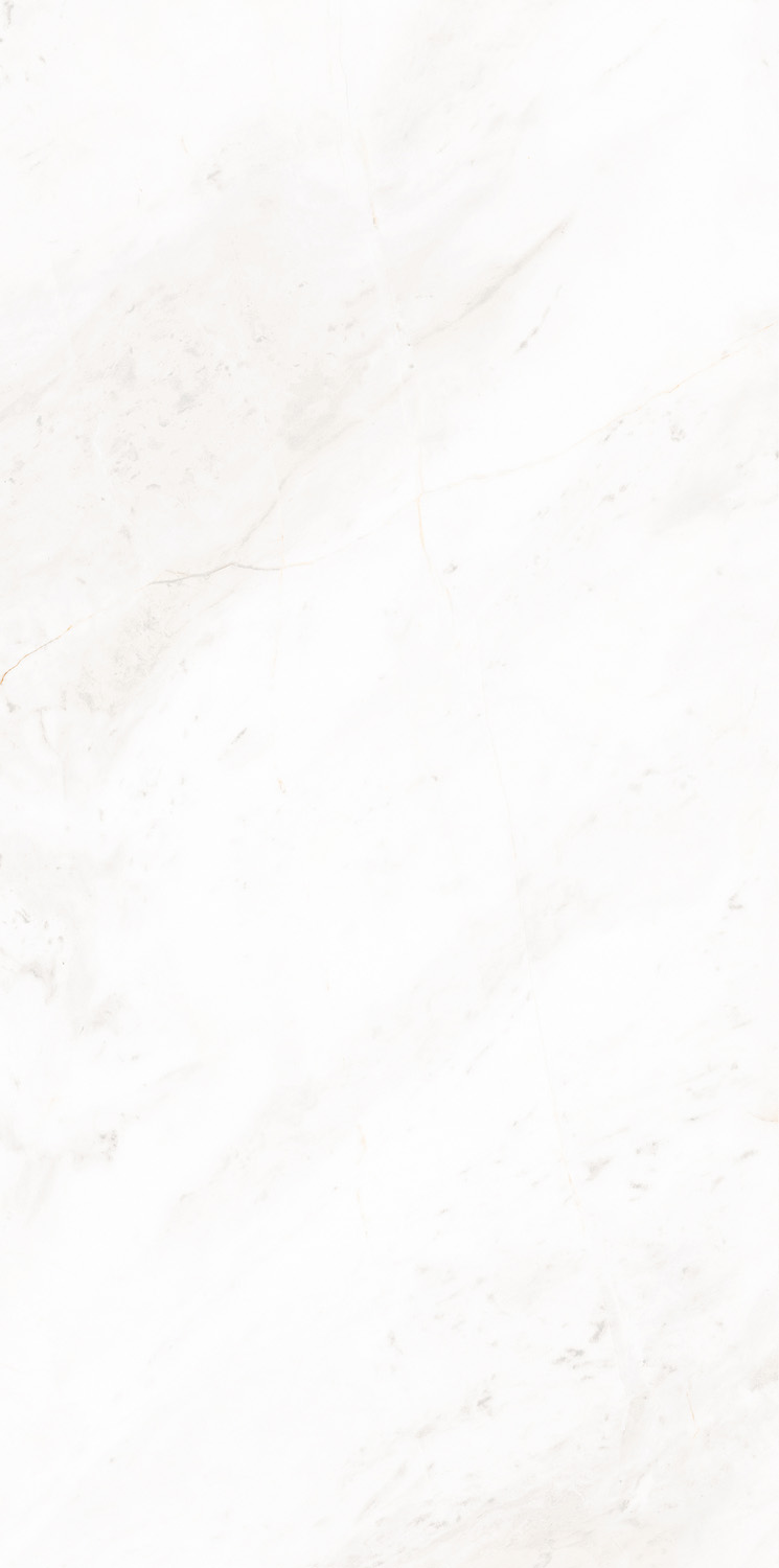 thin porcelain tile | Thin Tile 60-120CB05641M