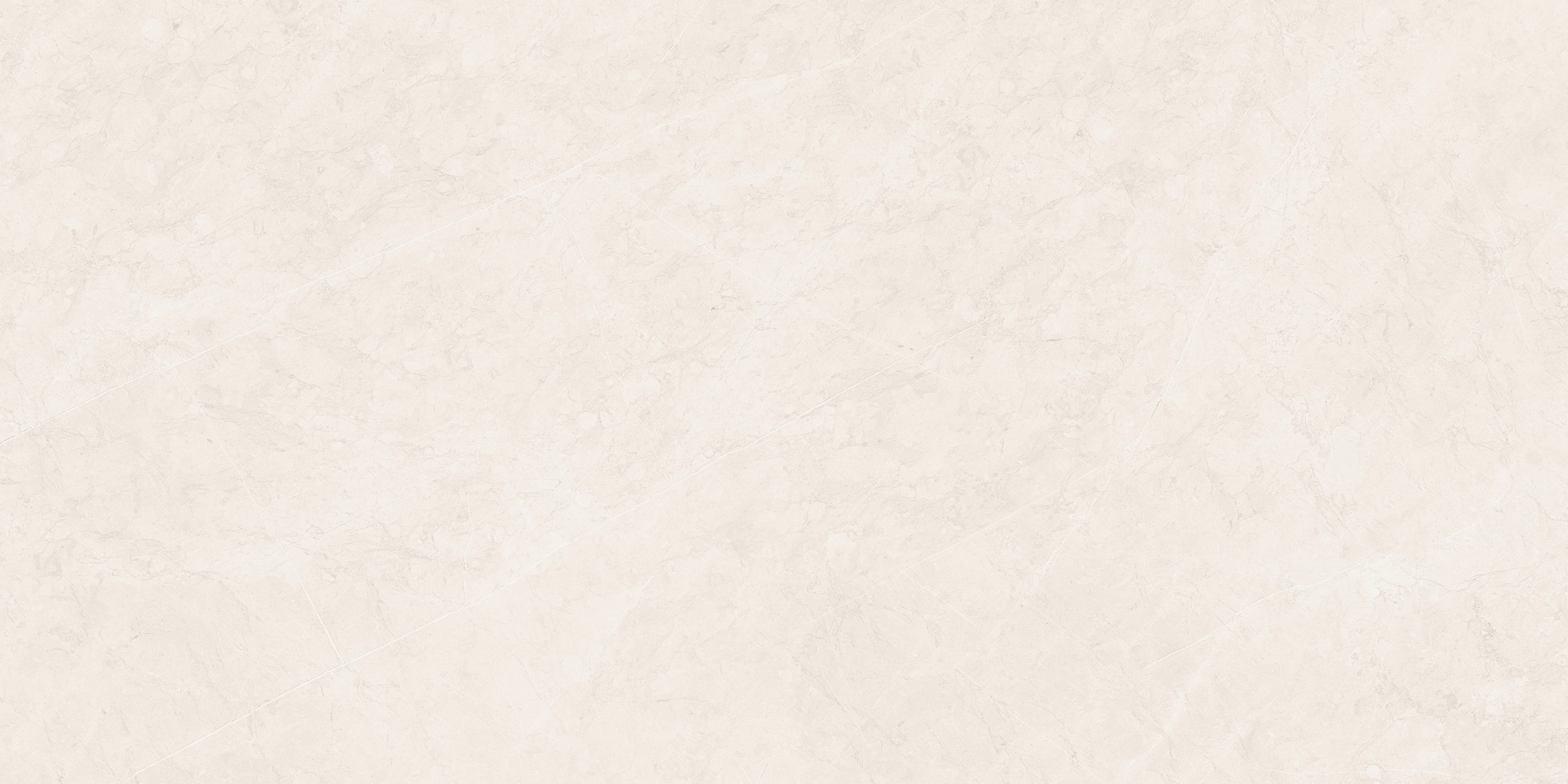 sintered stone | Classic stone 60-120FMB10251PM