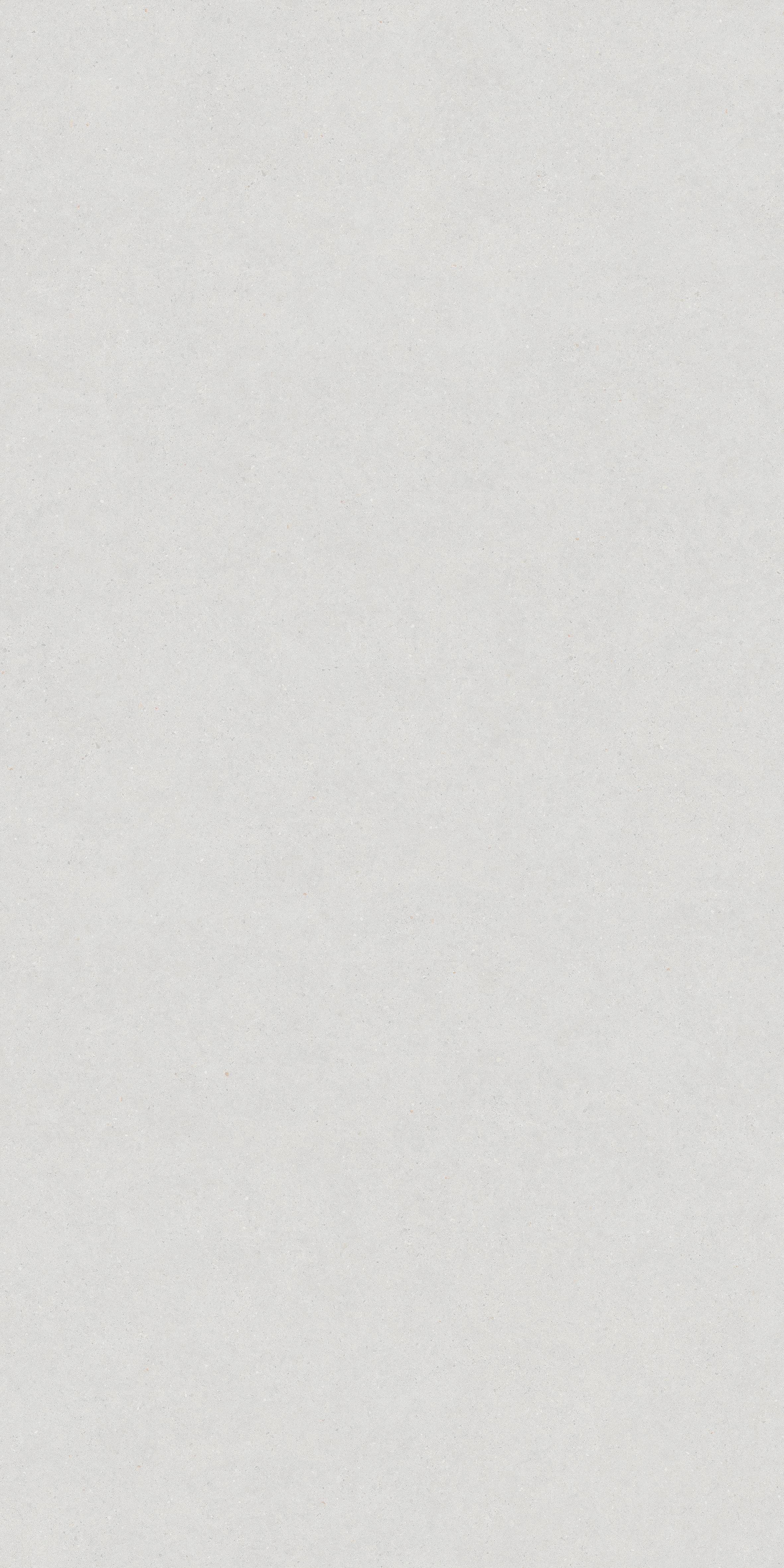 Light Luxury Stone | Dry Grain Matte Tile 60-120FDH10565M