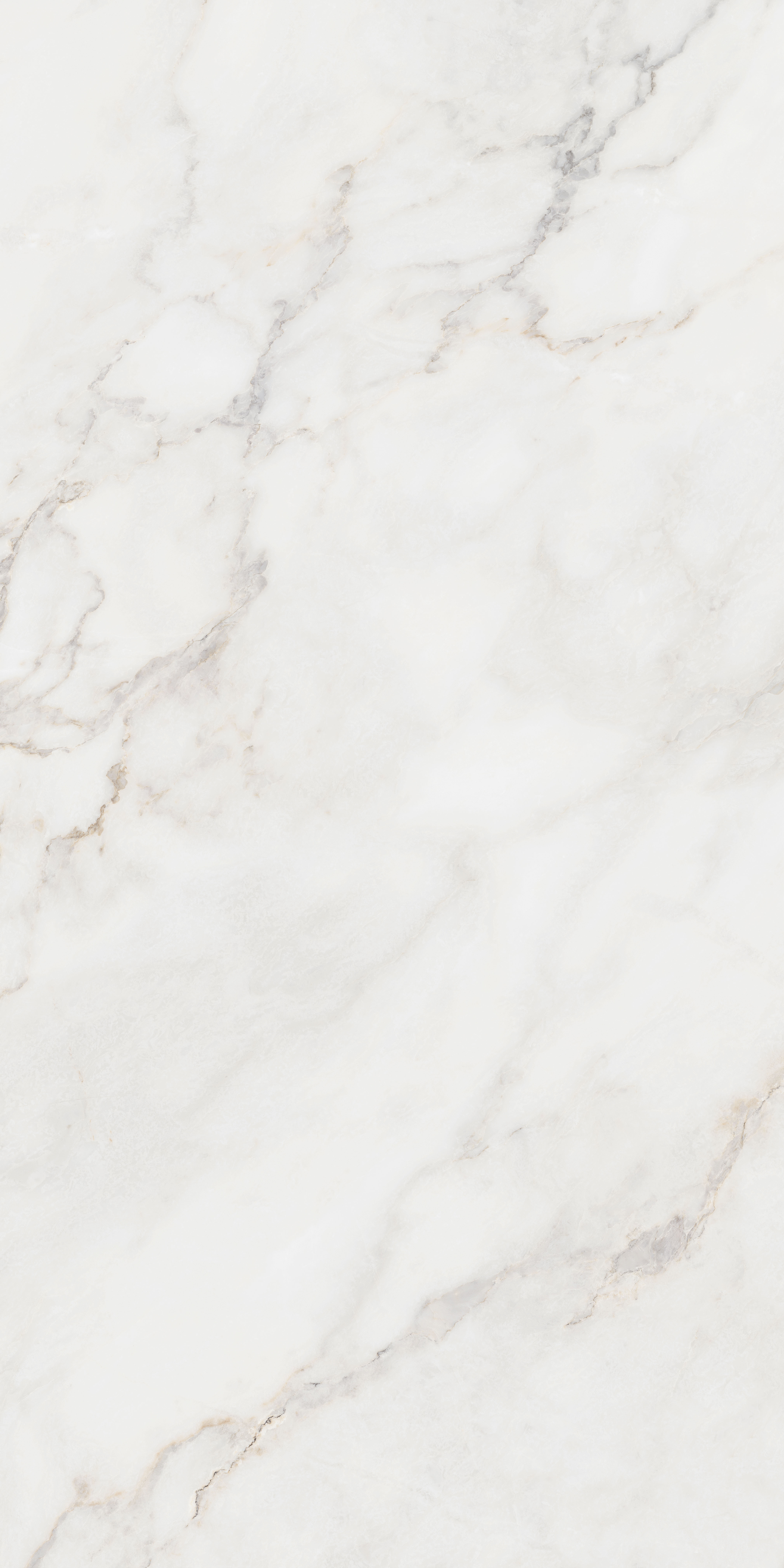 Timeless Charm | Ceramic panel 90-180FTG10112M