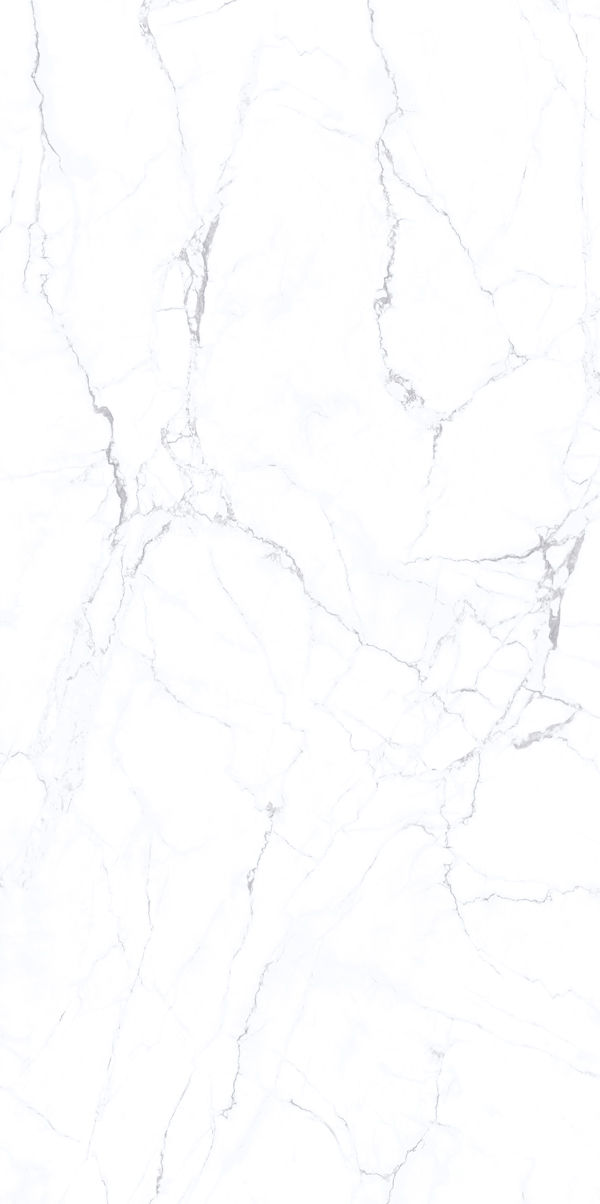 Monalisa Slab | Porcelain Panel 160-320DBY12363M