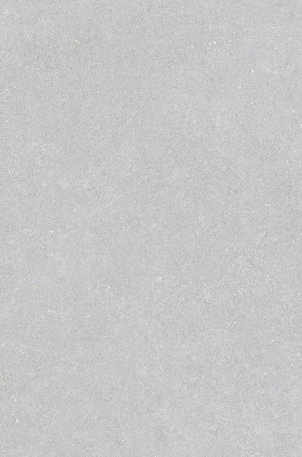 Wuji Stone | Textured Matte Tile 106-160FEG10122M