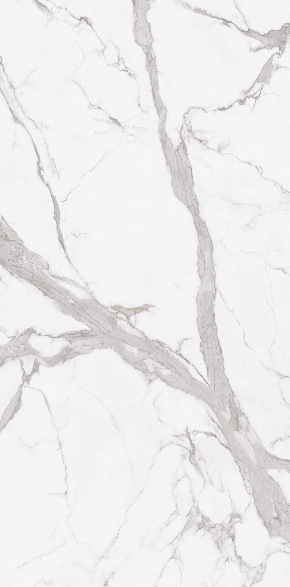 Wall  Decoratiom Tiles | Porcelain Panel 120-240CBP05533(BCD)-M(F)