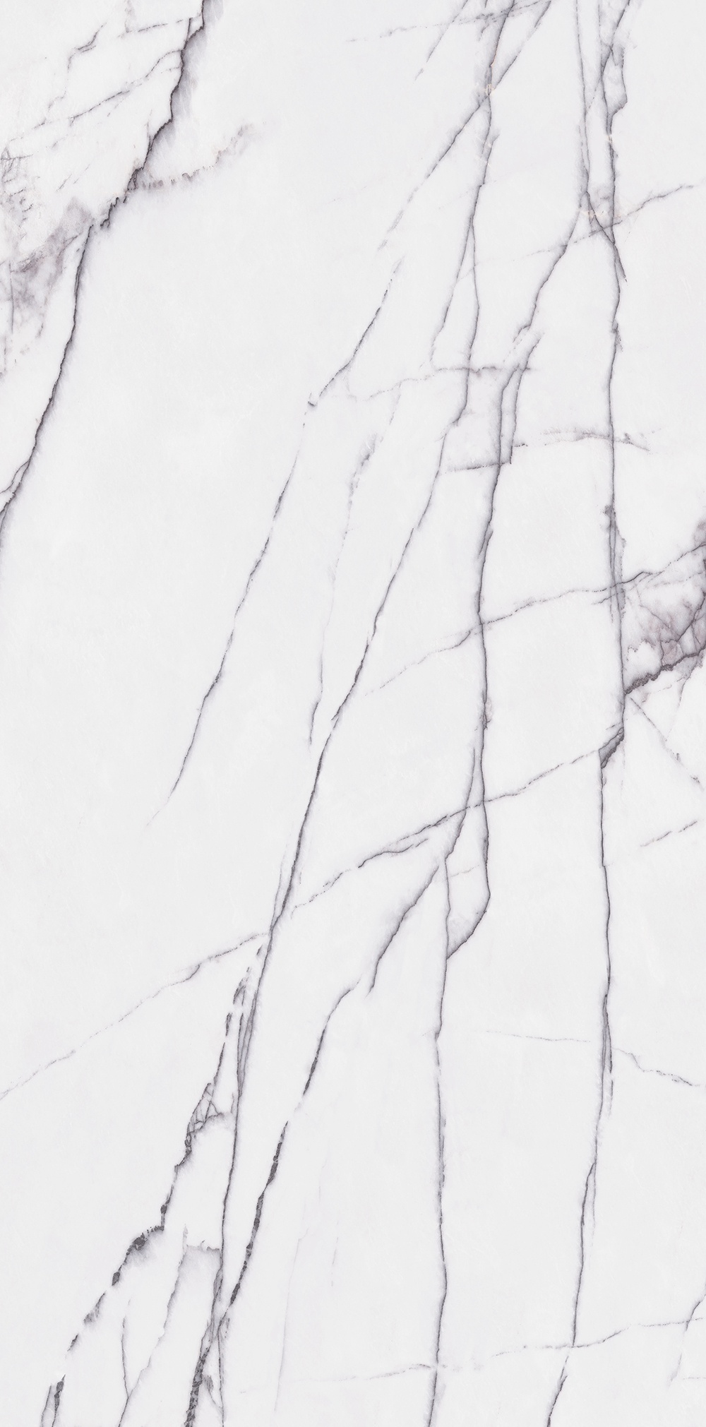 Wall  Decoratiom Tiles | Porcelain Panel 120-240CBP05537(BCD)-M(F)