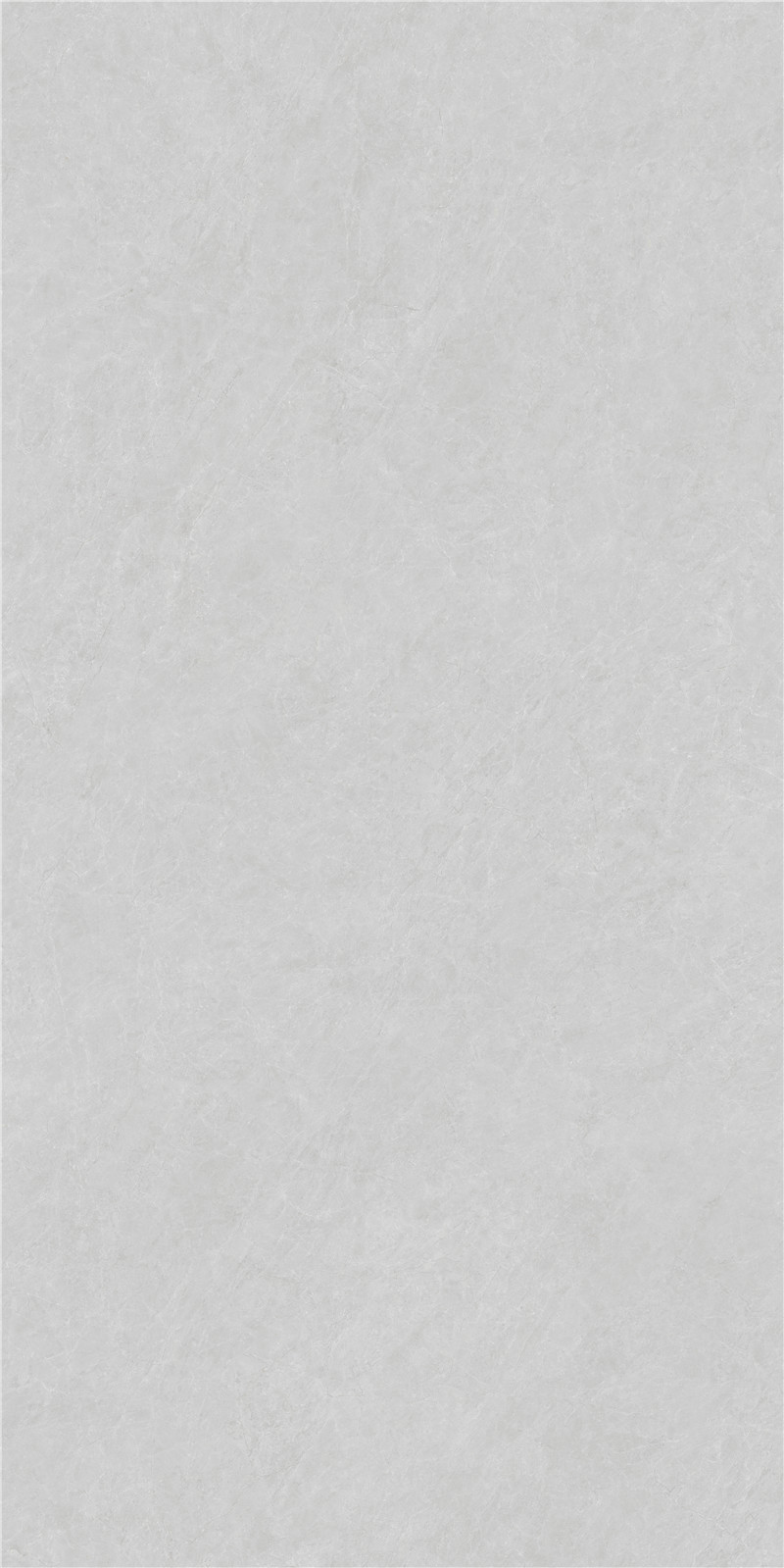 Neo Stone | Porcelain Panel 120-240FMX10271RPM