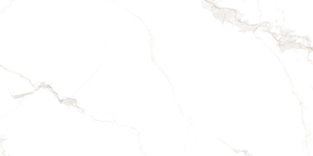 Roman Superstone | Porcelain Panel  120-240DBP09601M