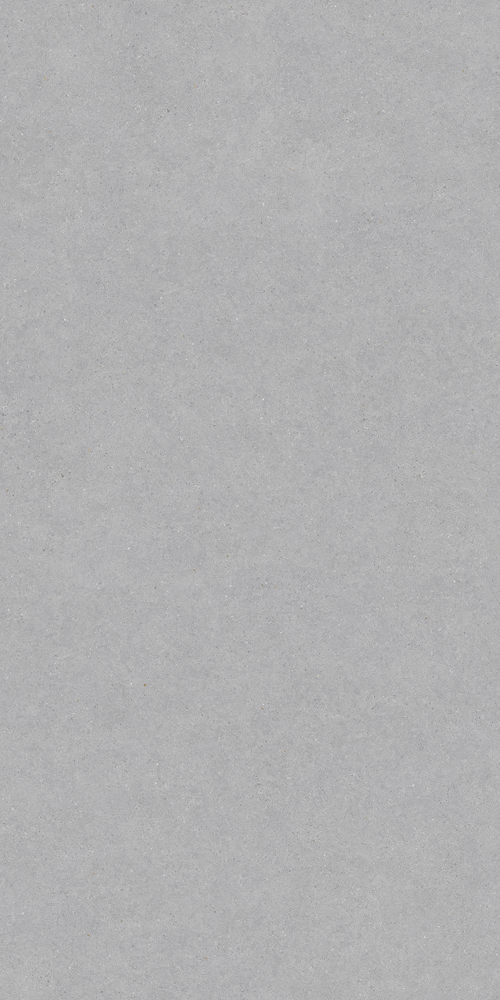 Light Luxury Stone | Dry Grain Matte Tile 60-120FDH10566M