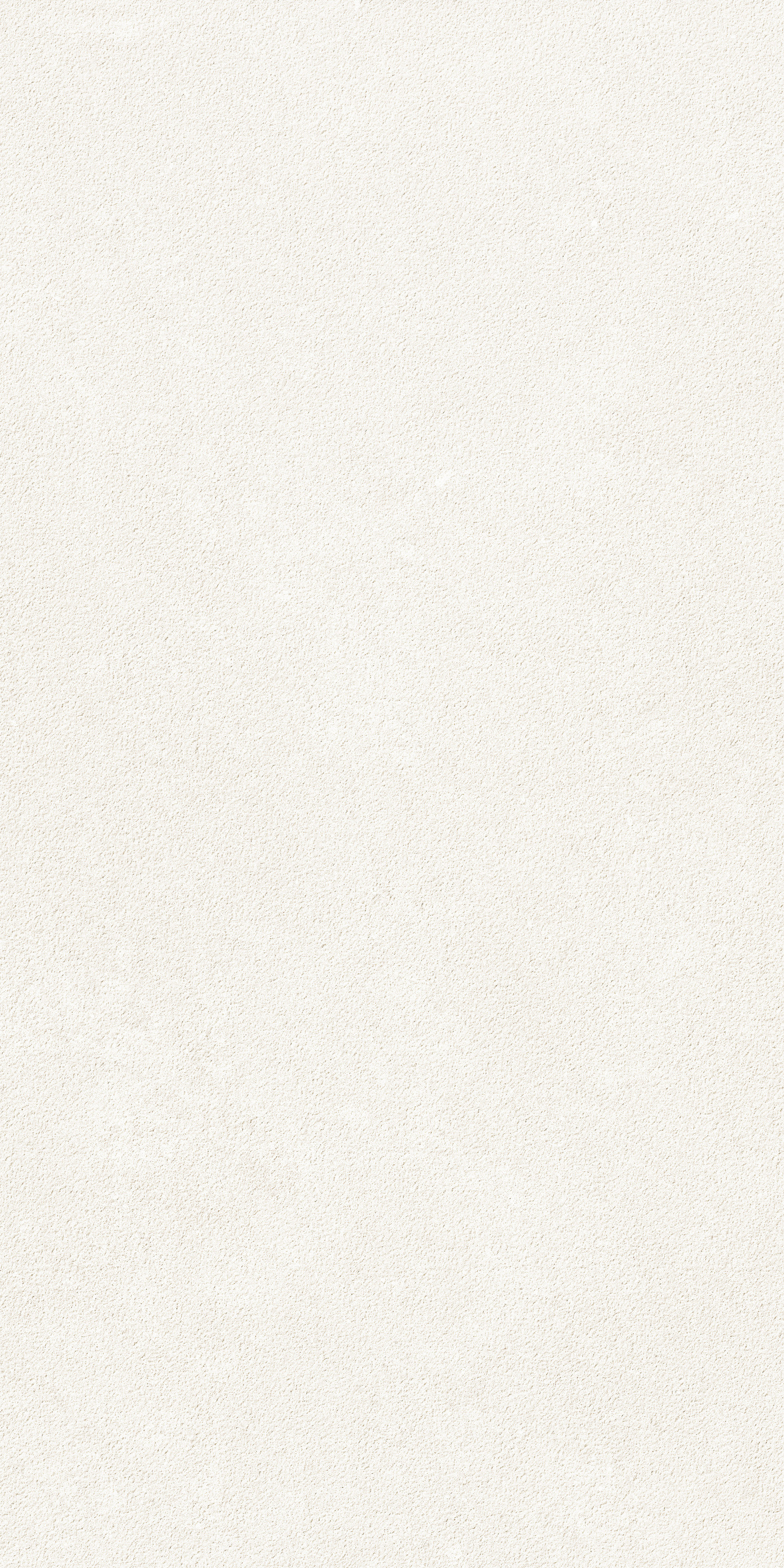  Wuji Stone | Textured Matte Tile 60-120FEG10166M