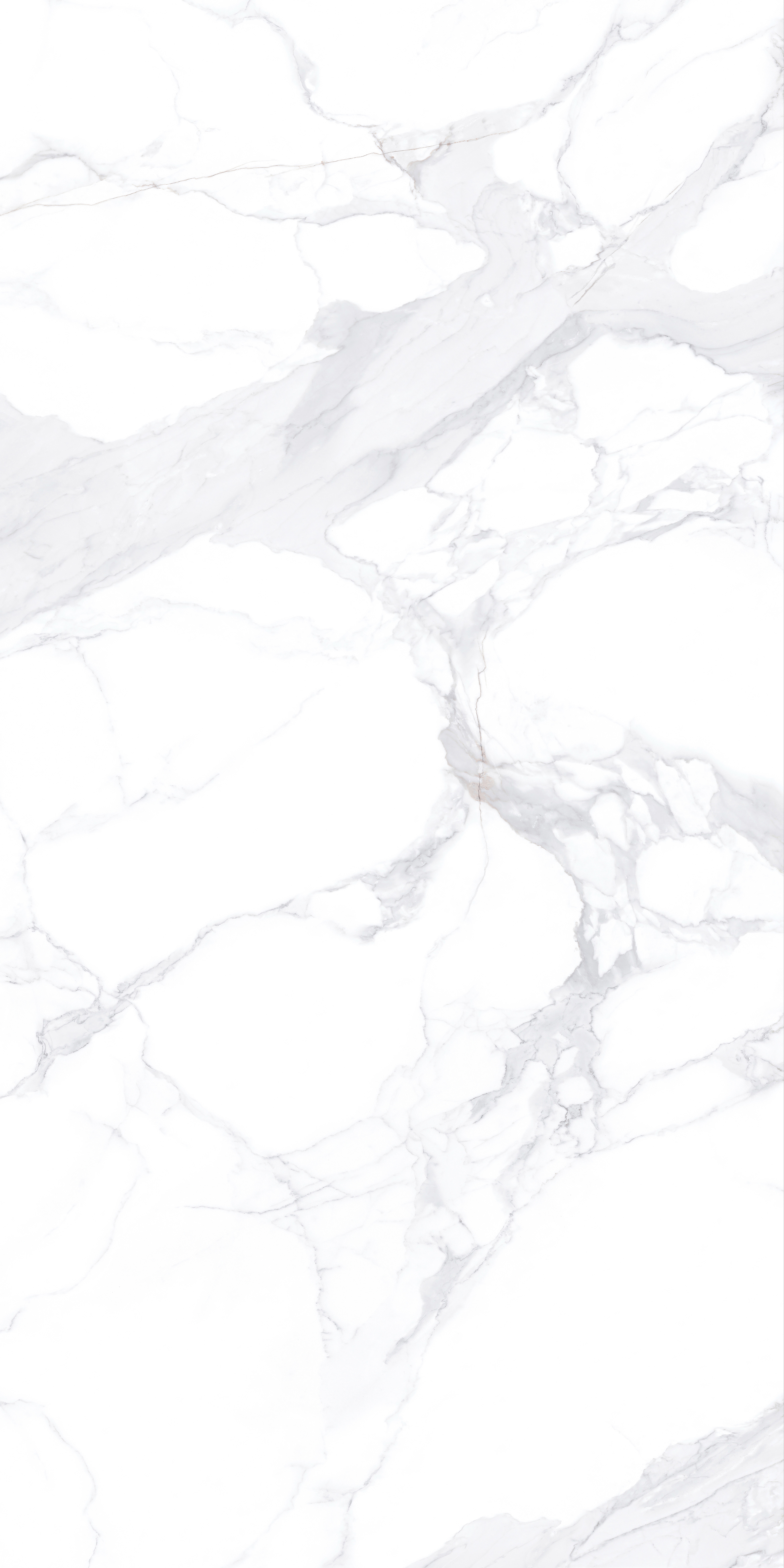 Roman Superstone | Porcelain Panel 180-360DBP12850M