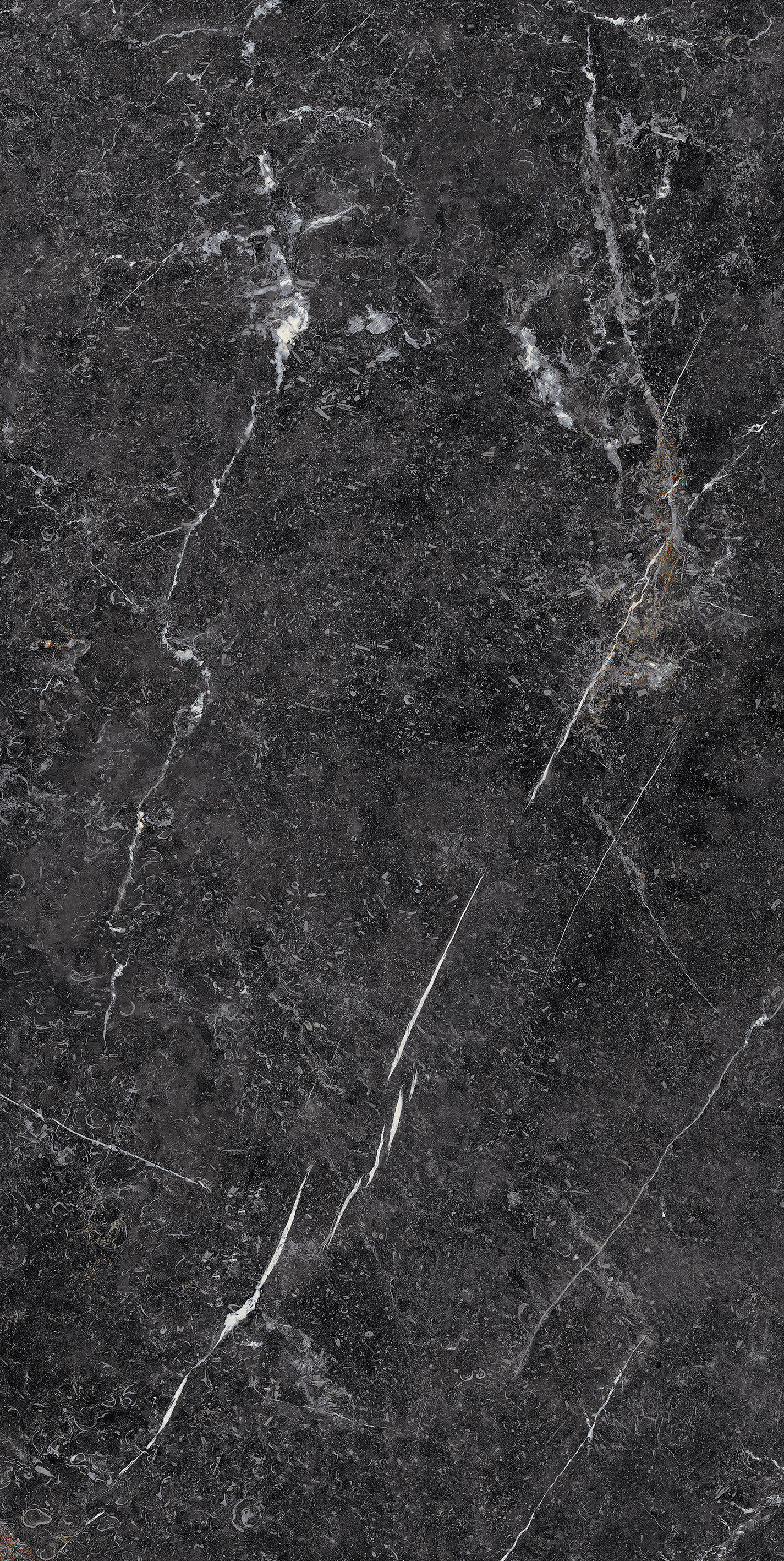 Roman Superstone | Porcelain Panel 180-360DBP12810M