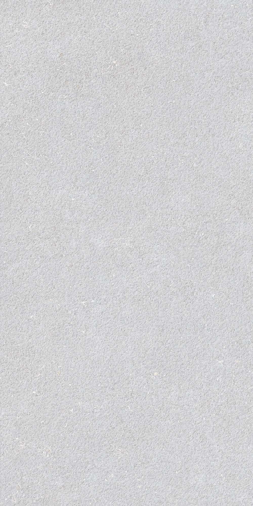  Wuji Stone | Textured Matte Tile 60-120FEG10126M