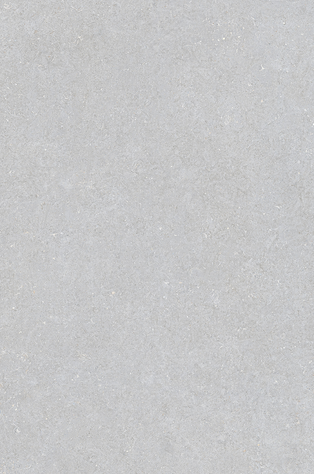 Wuji Stone | Textured Matte Tile 106-160FEG10121M