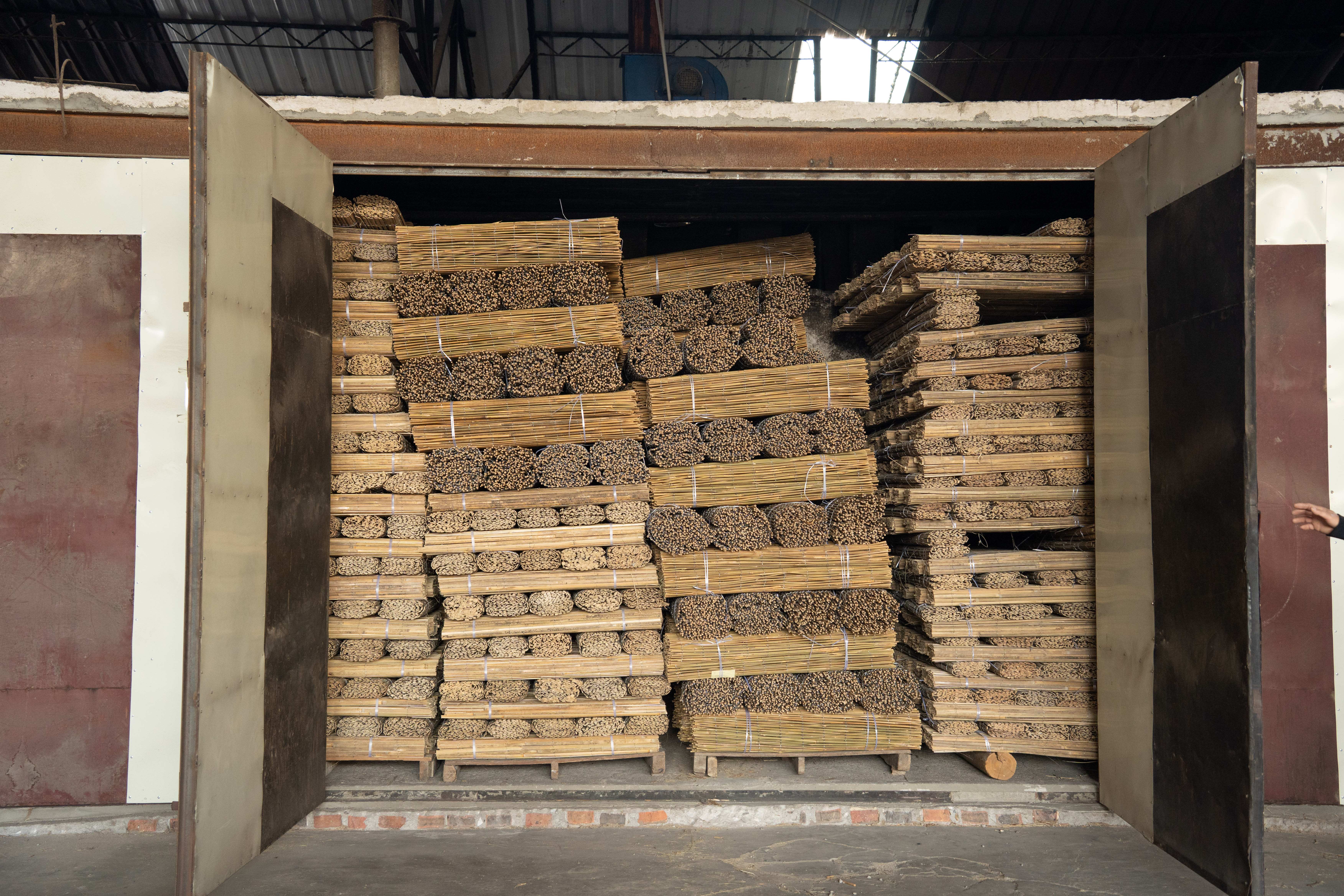 How Tonkin Bamboo Stays Pest-Free: 3 Built-In Strengths &amp; 2 Certified Treatments