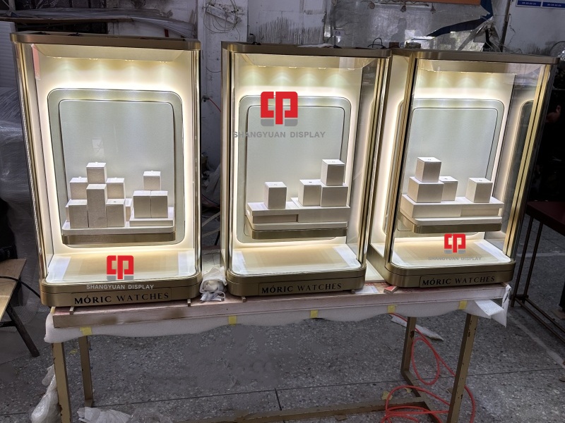 Luxury Fashion Jewelry Wall Cabinet
