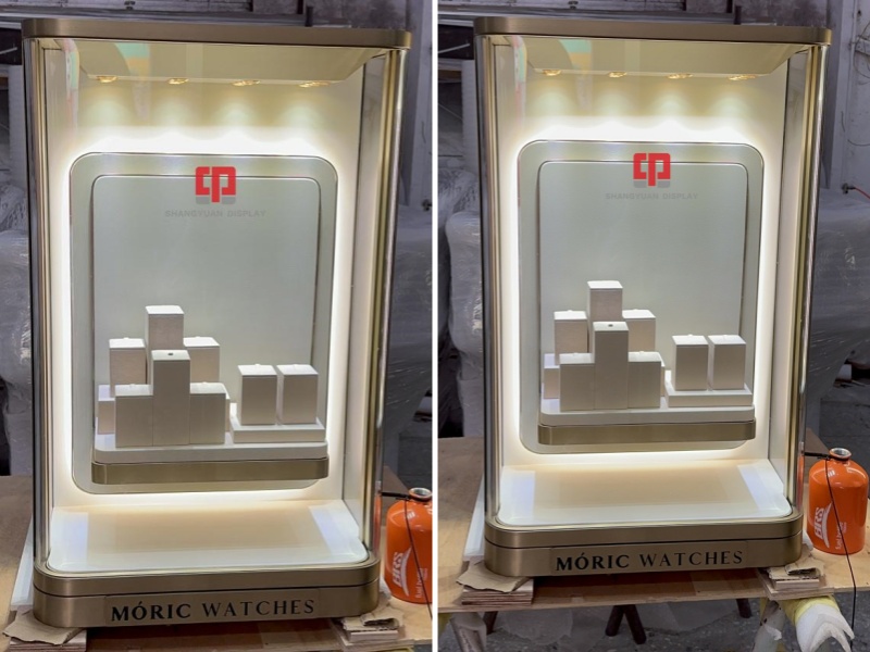 Luxury Fashion Jewelry Wall Cabinet