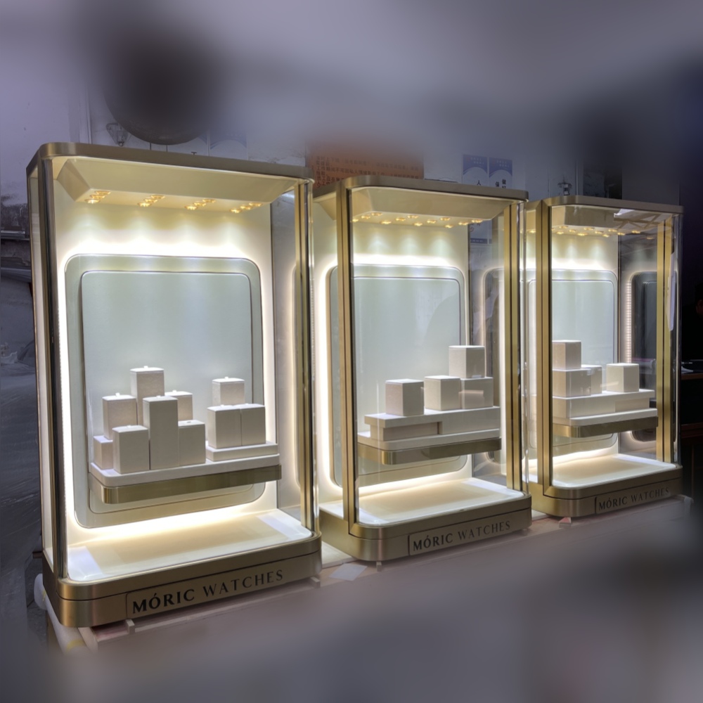 Luxury Fashion Jewelry Wall Cabinet