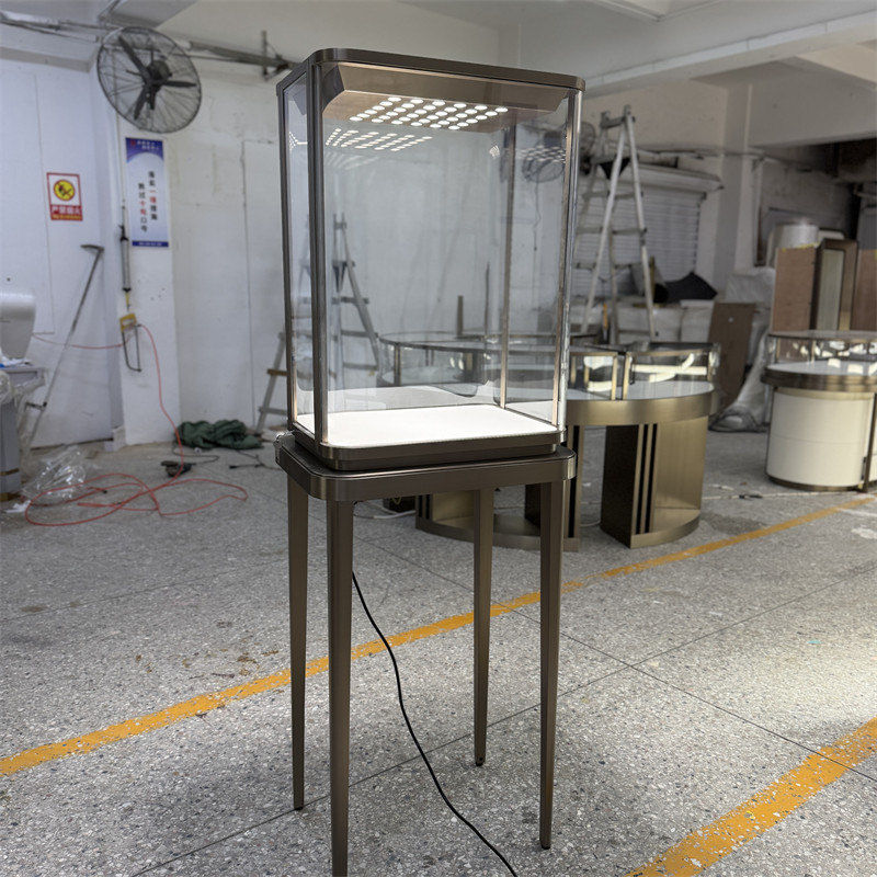 Standing Jewelry Display Case With Intelligent Lighting