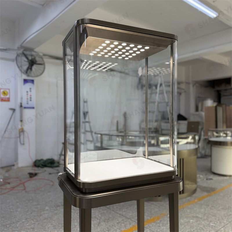 Standing Jewelry Display Case With Intelligent Lighting